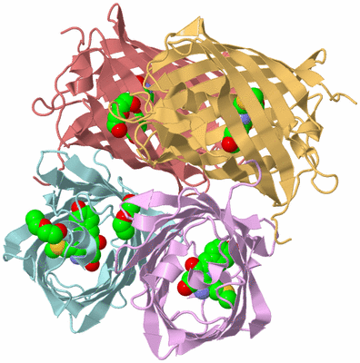 Image Biological Unit 2