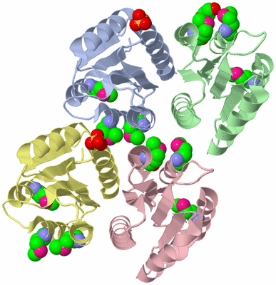 Image Biological Unit 3