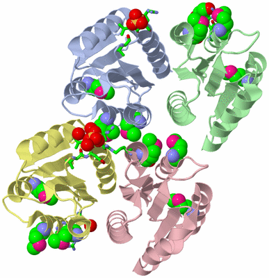 Image Asym. Unit - sites