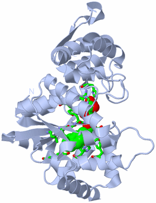 Image Biol. Unit 1 - sites