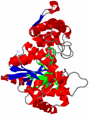 Image Asym. Unit - sites