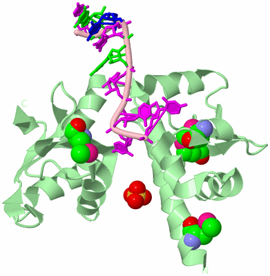 Image Biological Unit 2