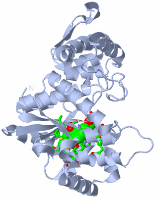 Image Biol. Unit 1 - sites