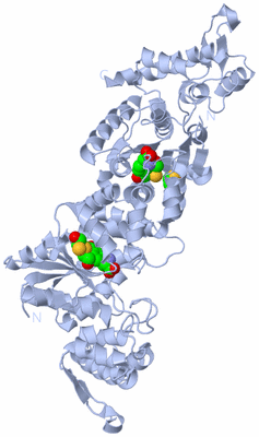 Image Biological Unit 2