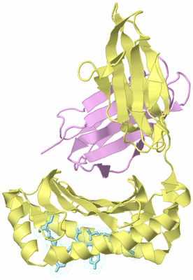 Image Biological Unit 2