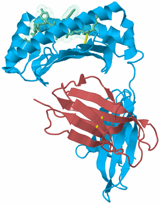 Image Biological Unit 4