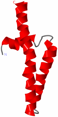 Image NMR Structure - model 1