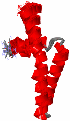 Image NMR Structure - all models