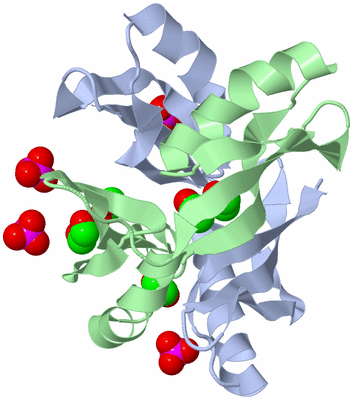 Image Biological Unit 1