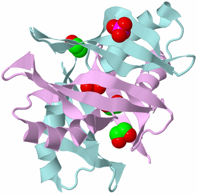 Image Biological Unit 3