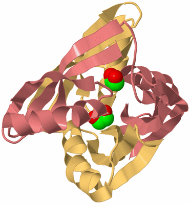 Image Biological Unit 4