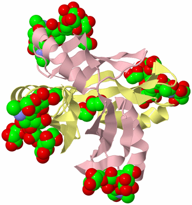 Image Biological Unit 2