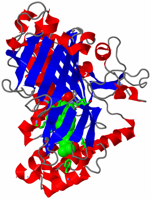 Image Asym./Biol. Unit - sites