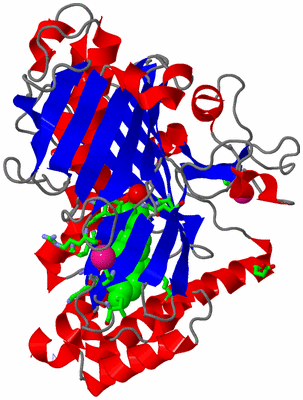 Image Asym./Biol. Unit - sites