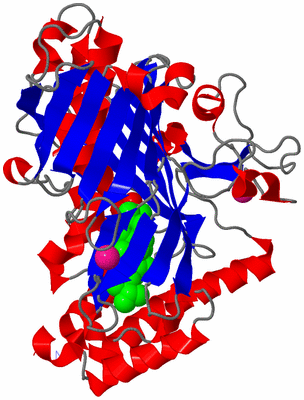 Image Asym./Biol. Unit