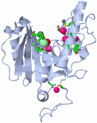 Image Biol. Unit 1 - sites