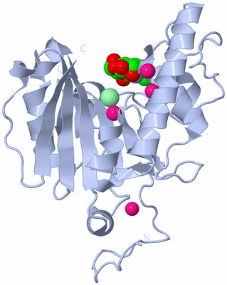 Image Biological Unit 1