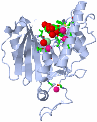 Image Biol. Unit 1 - sites