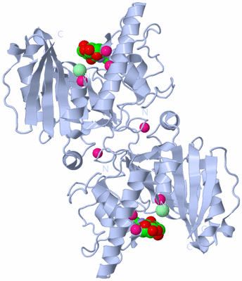 Image Biological Unit 2