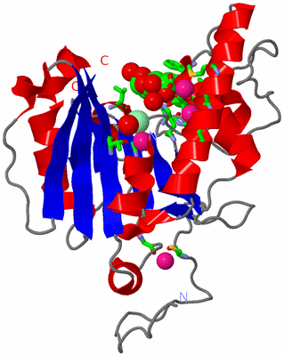 Image Asym. Unit - sites