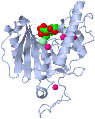 Image Biological Unit 1