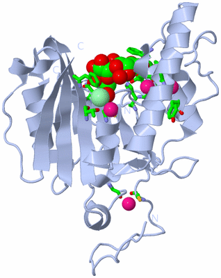 Image Biol. Unit 1 - sites