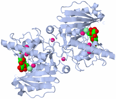 Image Biological Unit 2