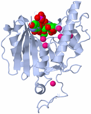 Image Biological Unit 1