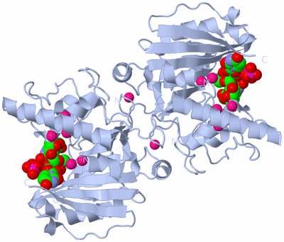 Image Biological Unit 2