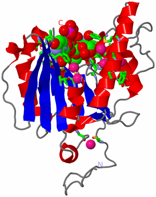 Image Asym. Unit - sites