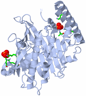 Image Biol. Unit 1 - sites