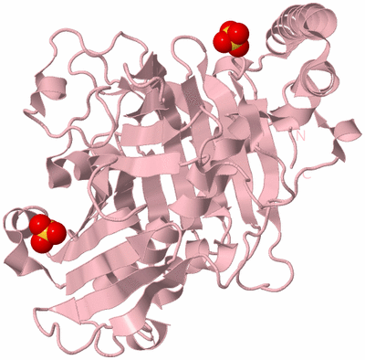 Image Biological Unit 3