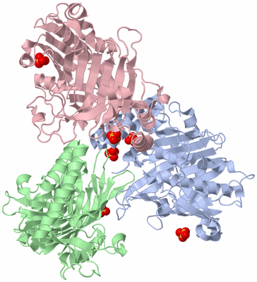 Image Biological Unit 4