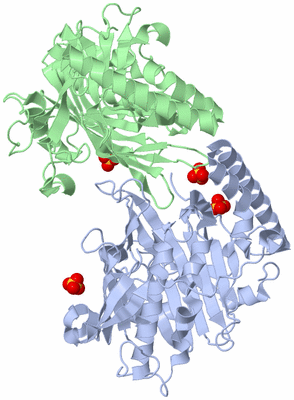 Image Biological Unit 5