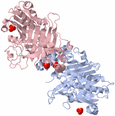 Image Biological Unit 6