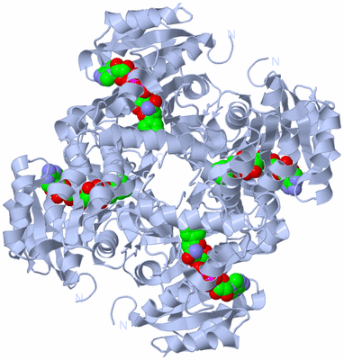 Image Biological Unit 1