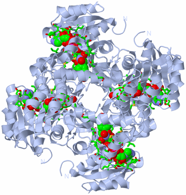 Image Biol. Unit 1 - sites