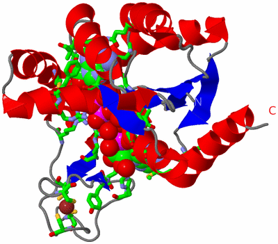 Image Asym./Biol. Unit - sites