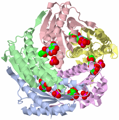 Image Biological Unit 1