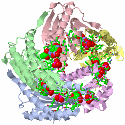 Image Biol. Unit 1 - sites