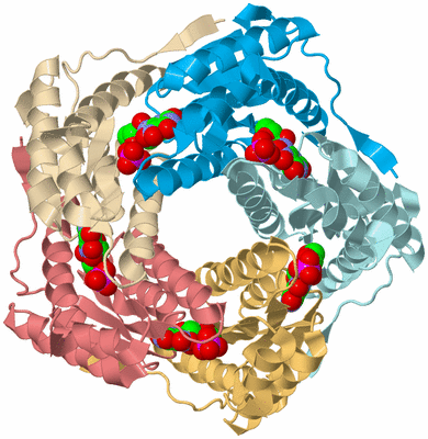 Image Biological Unit 2