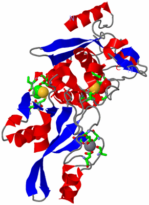 Image Asym./Biol. Unit - sites