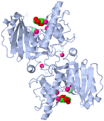 Image Biological Unit 2