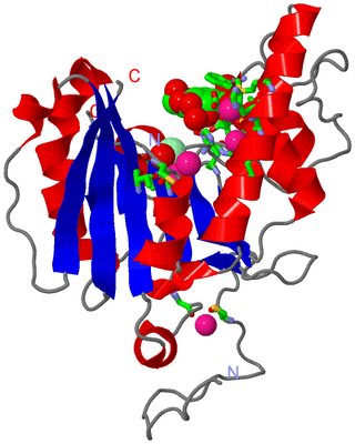 Image Asym. Unit - sites