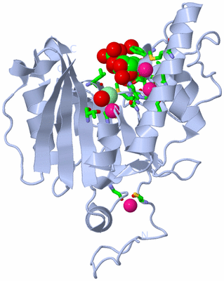 Image Biol. Unit 1 - sites