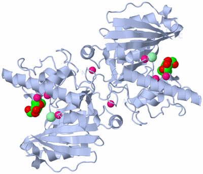 Image Biological Unit 2