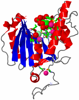 Image Asym. Unit - sites