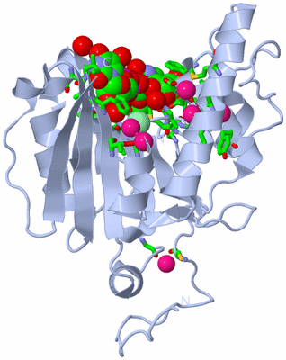 Image Biol. Unit 1 - sites