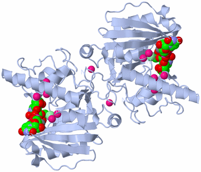 Image Biological Unit 2