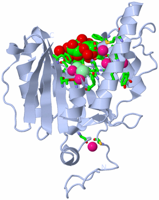 Image Biol. Unit 1 - sites